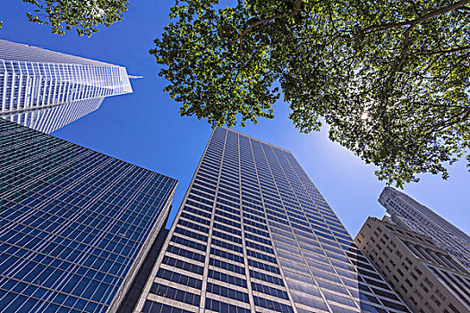 摩天大楼,北美,街道,市中心,纽约,美国
