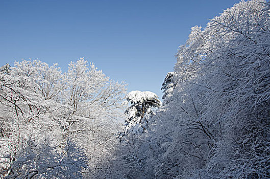 黄山冬季雪景