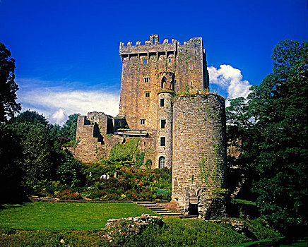 布拉尼城堡,城堡,爱尔兰
