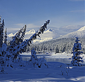 山谷,冬天,库特尼国家公园,落基山脉,不列颠哥伦比亚省,加拿大