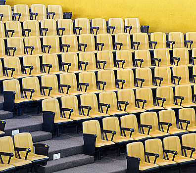 黄色,椅子,会议厅
