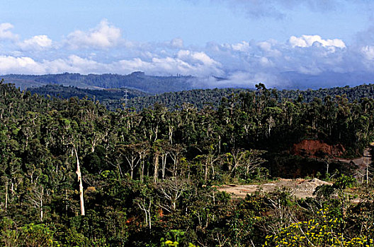 马达加斯加,自然保护区,山,雨林
