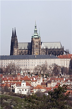 大教堂,圣维特大教堂,布拉格城堡
