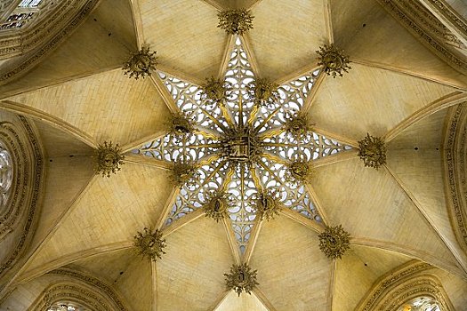 天花板,布尔戈斯大教堂,卡斯蒂利亚,西班牙