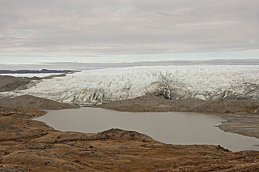 格陵兰,大,峡湾,冰原,冰河,冰碛,风景,大幅,尺寸