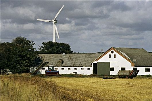 丹麦,日德兰半岛,农场,风轮机