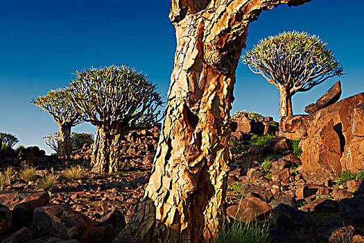 漂石,基特曼斯胡普,纳米比亚
