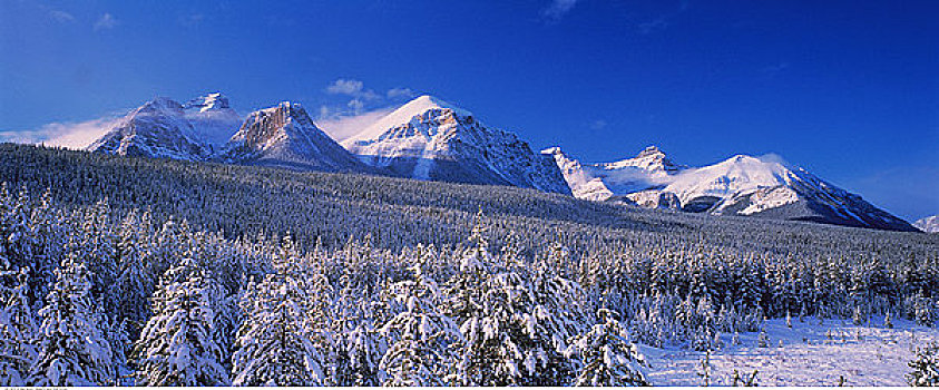 山脉,雪中,靠近,路易斯湖,班芙国家公园,艾伯塔省,加拿大