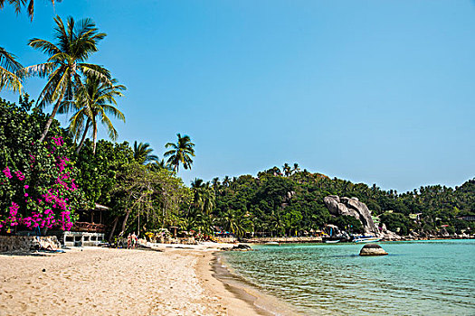 沙滩,蓝绿色海水,龟岛,海湾,泰国,亚洲
