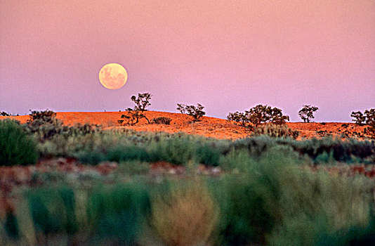 满,月亮,上方,澳大利亚,内陆地区,风景,库伯佩迪,南澳大利亚州
