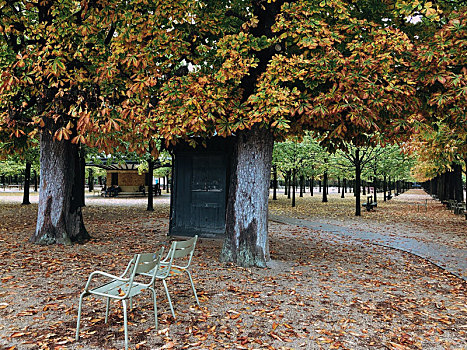 卢森堡公园的秋天