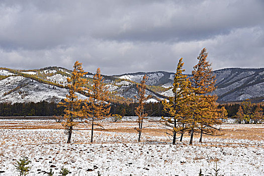 阿尔山雪景