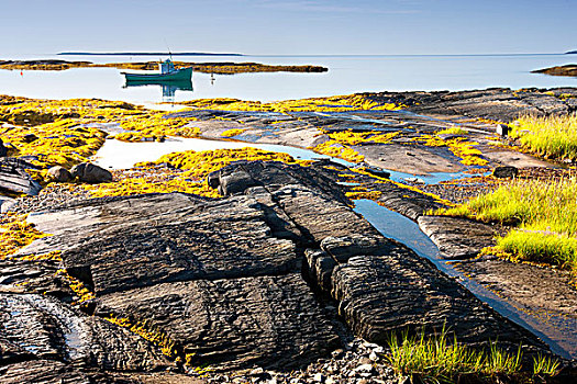 渔船,退潮,蓝色,石头,新斯科舍省,加拿大