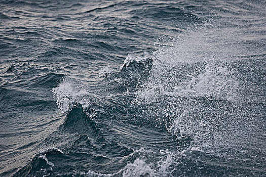 波浪,飞溅,斯匹次卑尔根岛,斯瓦尔巴特群岛,岛屿,挪威,欧洲
