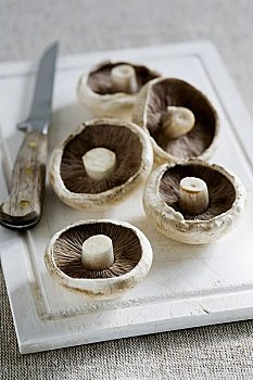 波多白洛大蘑菇,蘑菇,案板