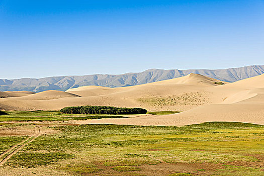 沙漠绿草远山