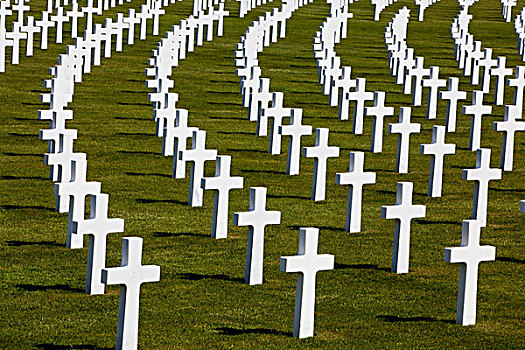 美洲,墓地,纪念,战争,瓦龙,区域,比利时,欧洲