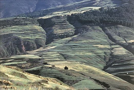 图像,大阿特拉斯山,风景