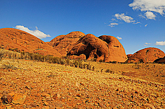 乌鲁鲁-卡塔丘塔国家公园,北领地州,澳大利亚