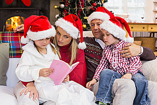 喜庆,家庭,穿,圣诞帽,读,沙发