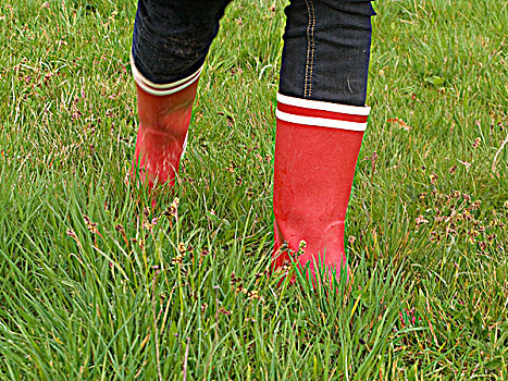 女人,穿,威灵顿高帮靴,草地