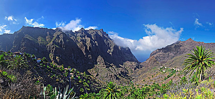 峡谷,乡村,特内里费岛,加纳利群岛,西班牙,欧洲