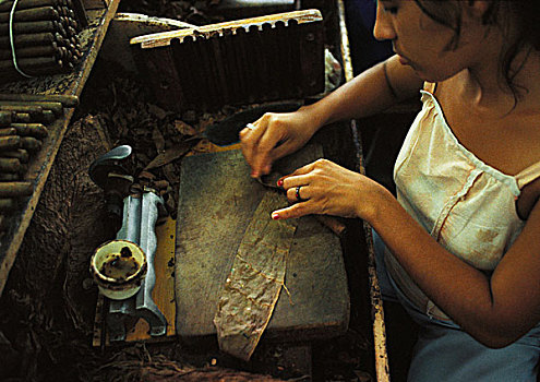古巴,哈瓦那,女人,制作,雪茄