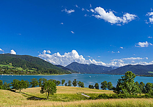 泰根湖,上巴伐利亚,巴伐利亚,德国,欧洲
