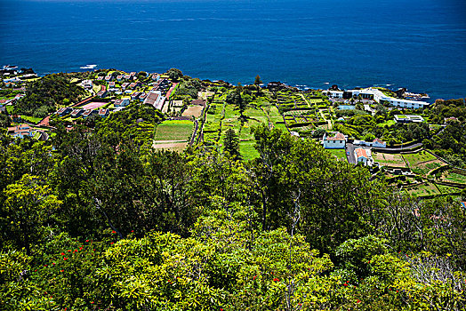 葡萄牙,亚速尔群岛,岛屿,俯视图