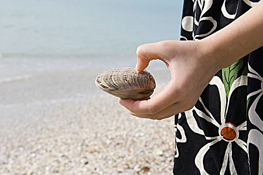 女孩,拿着,蛤蜊,壳,海滩,局部