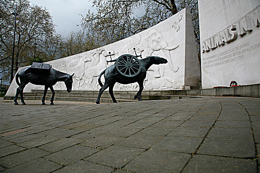 动物,战争纪念碑,公园,道路,伦敦,英国