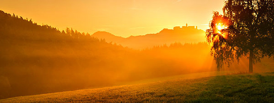 德国,图林根州,瓦尔堡,日出,晨雾
