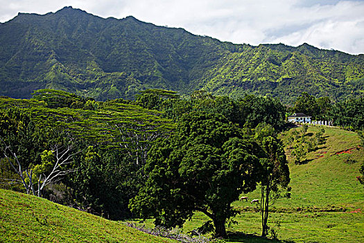 考艾岛,夏威夷,美国