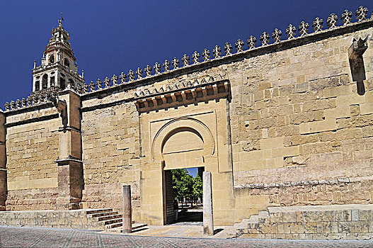 清真寺,大教堂,科多巴,世界遗产,安达卢西亚,西班牙,欧洲