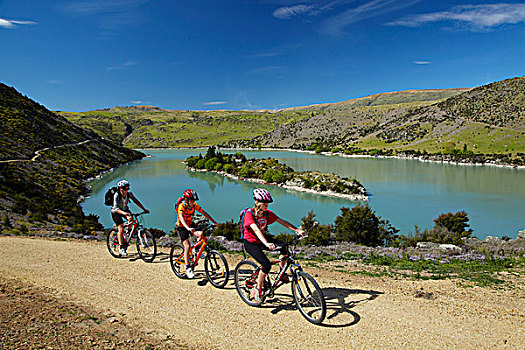 山地车手,湖,峡谷,自行车,走,中心,奥塔哥,南岛,新西兰