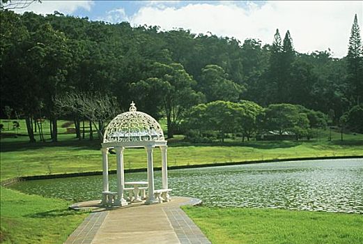 夏威夷,住宿,柯艾雷,日光浴室,水塘