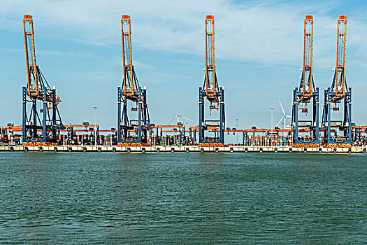 集装箱码头,鹿特丹,港口,荷兰