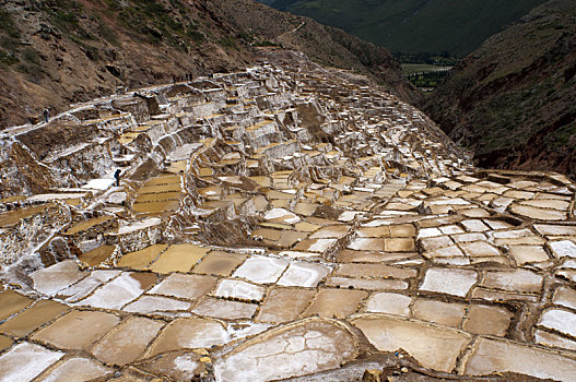 盐厂,神圣峡谷,靠近,库斯科市,城镇,印加,公里,北方,区域,秘鲁,盐,蒸发,水塘,使用