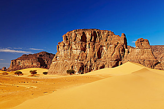 沙丘,石头,撒哈拉沙漠,阿尔及利亚