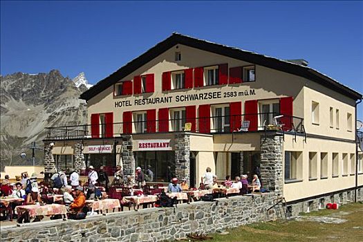 酒店,餐馆,策马特峰,瓦莱,瑞士