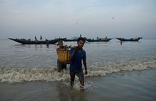 鱼,出售,鲜鱼,拖船,红点鲑,库尔纳市,孟加拉,2008年