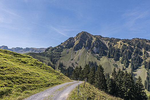 徒步旅行,风景,攀升,瑞士,欧洲