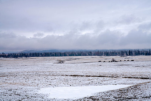冬季草原牧区