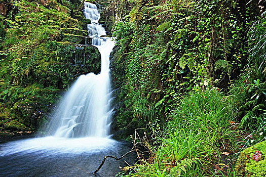 瀑布,基拉尼国家公园,凯瑞郡,爱尔兰