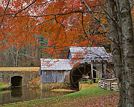 美国,弗吉尼亚,蓝脊公园大道,秋天,大幅,尺寸