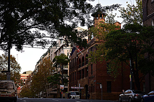 悉尼街道