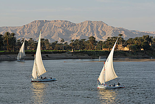 三桅小帆船,尼罗河,路克索神庙,尼罗河流域,埃及,非洲
