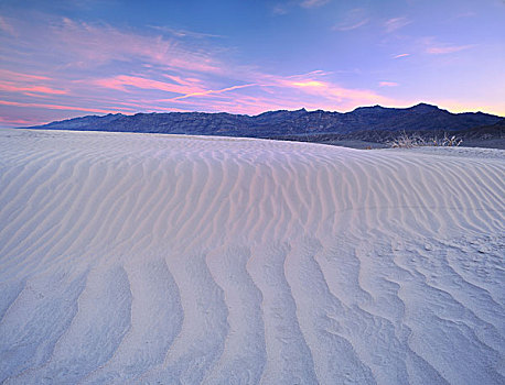 死亡谷国家公园,加利福尼亚,美国,卷云,高处,沙丘,黎明,葡萄藤