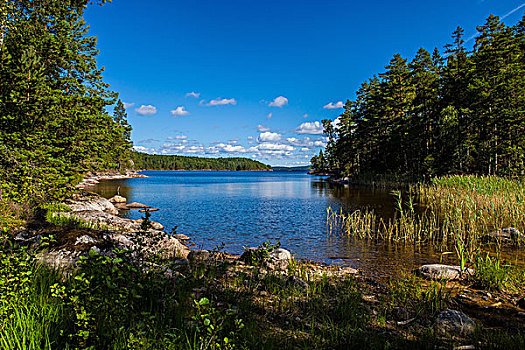 野外,风景,湖,耶尔塔兰德,瑞典