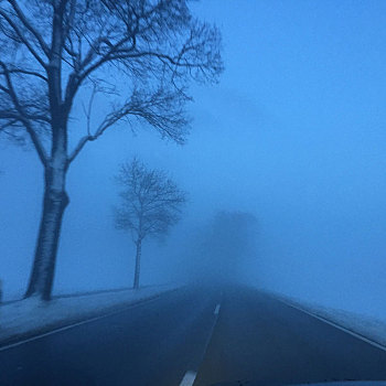 乡间小路,树,雾,冬天,黃昏